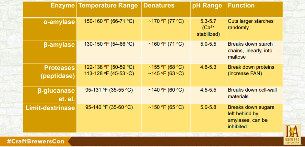 Enzyme and mashing temperature chart for brewing
