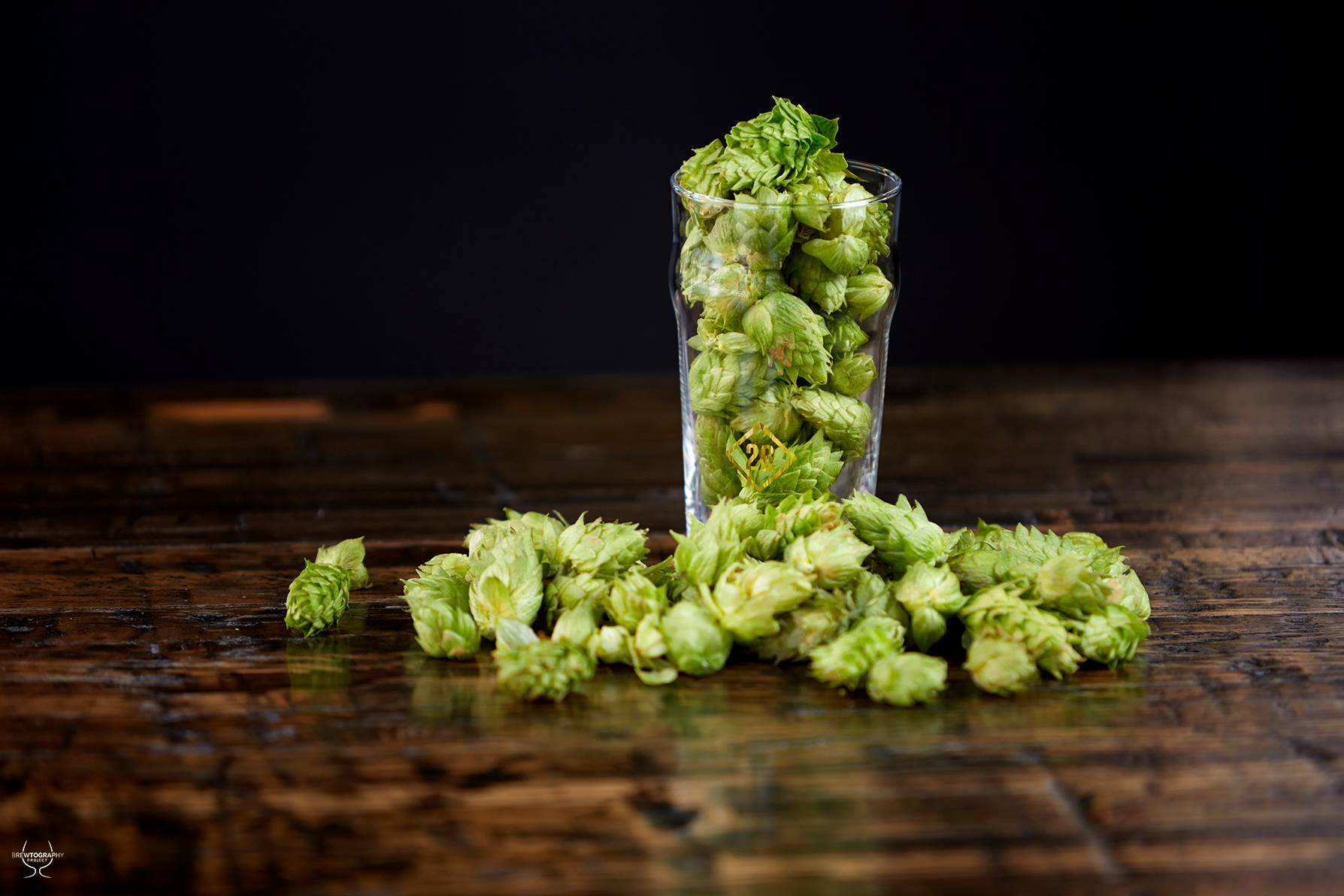 2020 Fresh Hop Beers