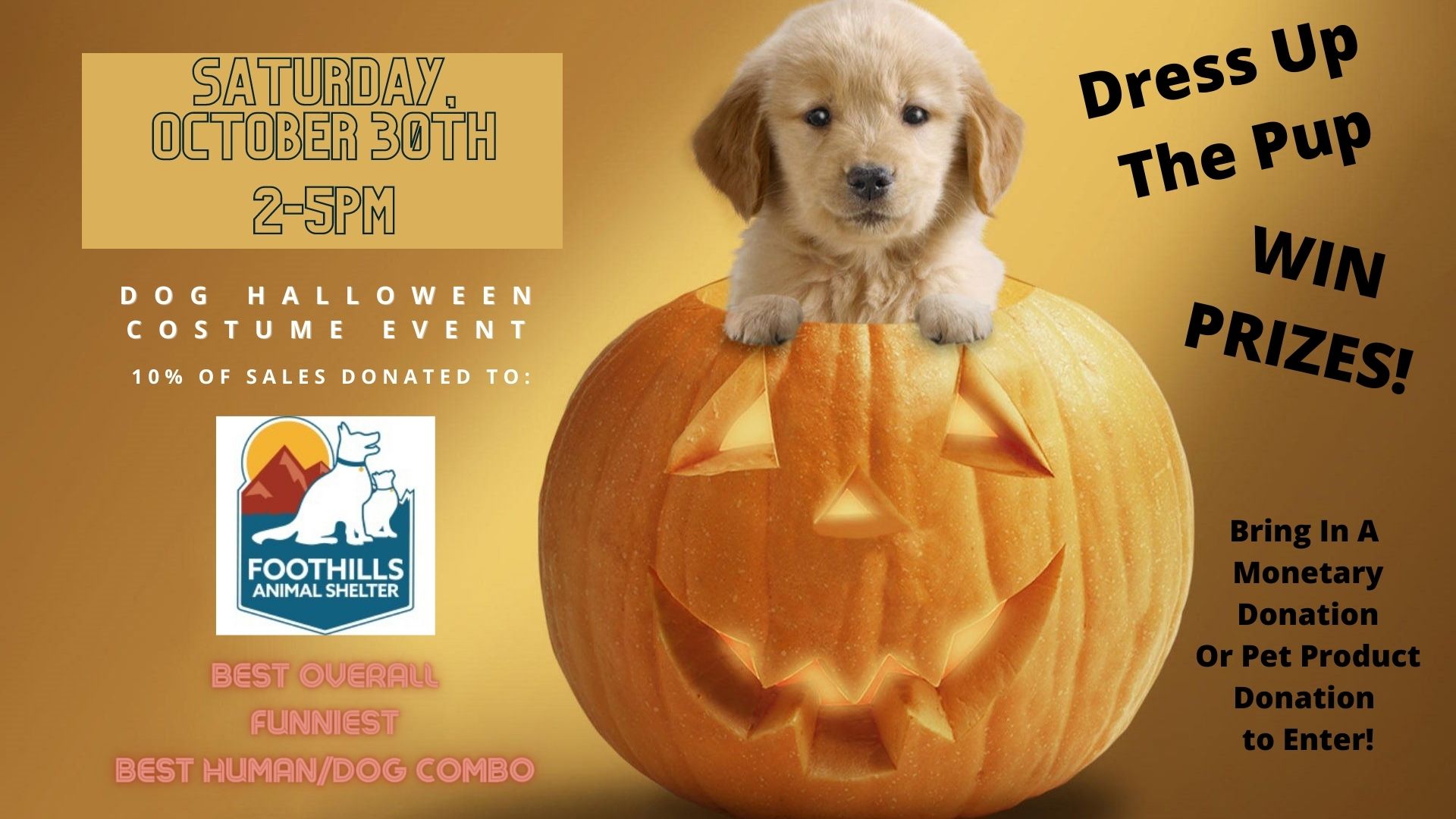 DOG HALLOWEEN COSTUME SUPPORTING FOOTHILLS ANIMAL SHELTER - Colorado  Brewers Guild