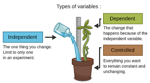 Diagram showing types of variables in the Scientific Process: Independent versus dependent variables.