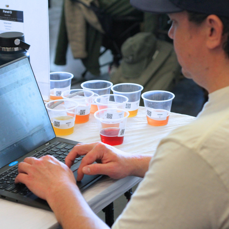 Images from the Colorado Brewers Cup judging event (January 10-12, 2025 in Denver). Photo credit: Carrie Wilson, Colorado Brewers Guild.