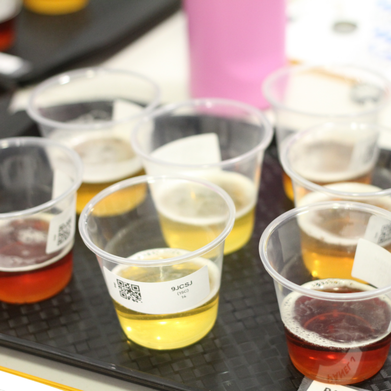 Images from the Colorado Brewers Cup judging event (January 10-12, 2025 in Denver). Photo credit: Carrie Wilson, Colorado Brewers Guild.