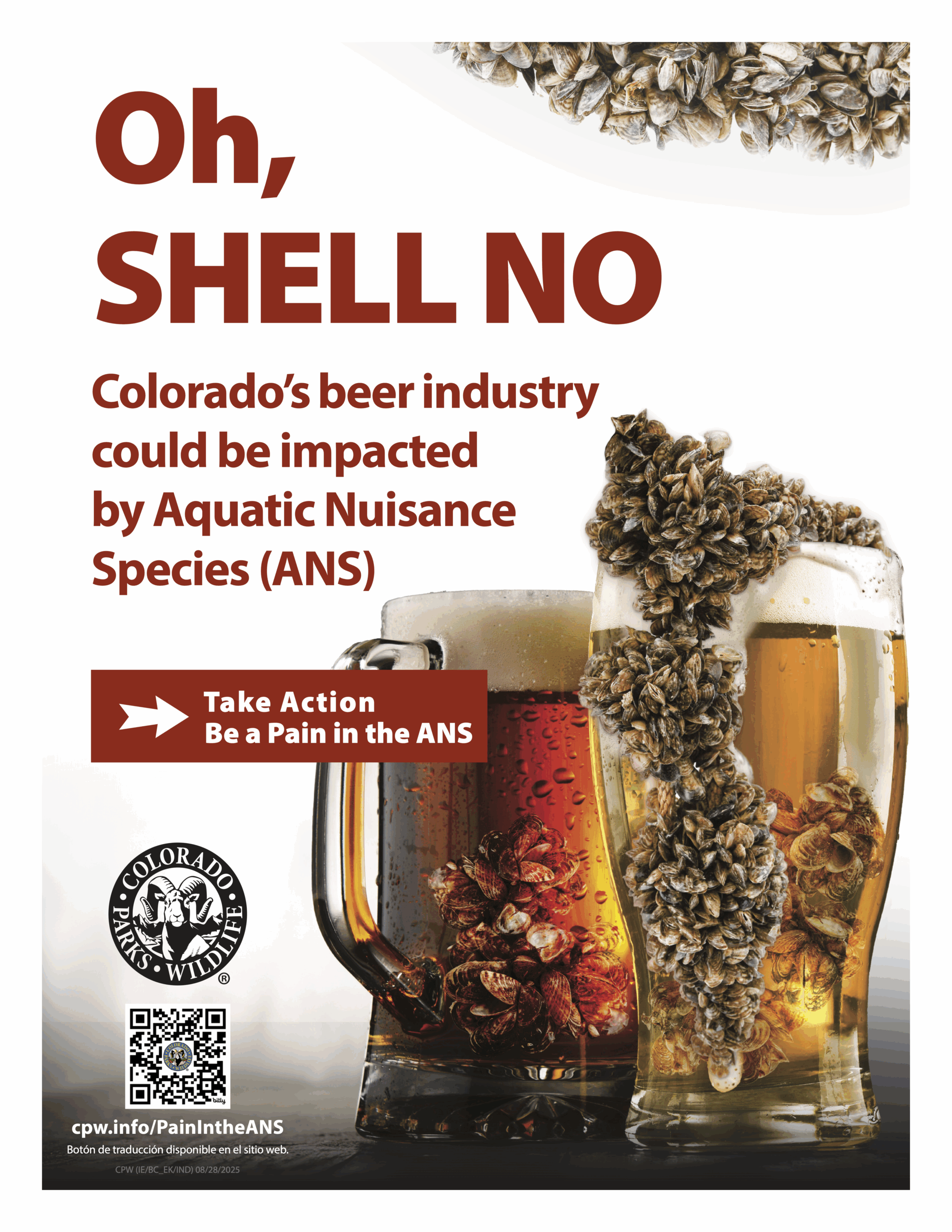 Oh, SHELL NO! poster download