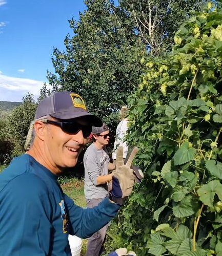 Elkstone Harvest 2024 - Wendy Tucciarone