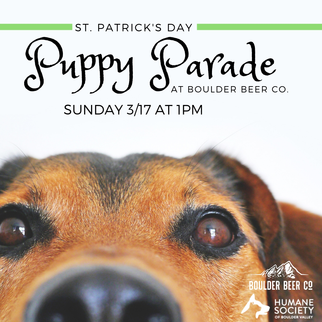 Puppy Parade