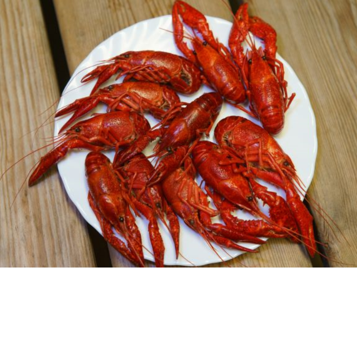 Jazz Fest and Crawfish Boil